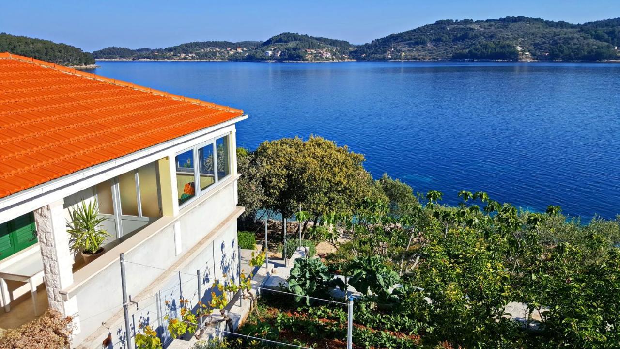 Holiday Home Katica Vela Luka Εξωτερικό φωτογραφία